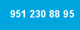 951 230 88 95 951 230 88 95